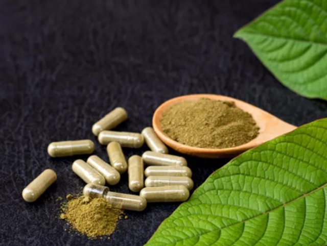druhy kratomu